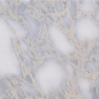 12x24 Forest Gray Polished Tile