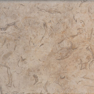 12x24 Fossil Oasis Bullnose Coping