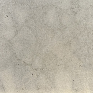 12x24 Water Lilies Sandblasted Bullnose Coping