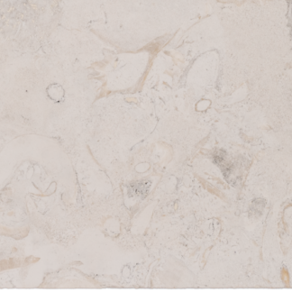 5cm 12x24 Shell Beach Bullnose Coping