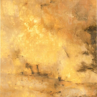 24x48 Luminescence Glow Polish Porcelain Tile
