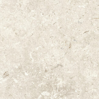 12x24 Fosil Bone Matte Porcelain Tile