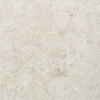 12x24 Corallina Shellstone Beige Porcelain Tile