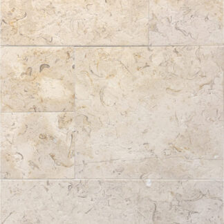 Fossil Oasis Brushed Versailles Pattern Tile