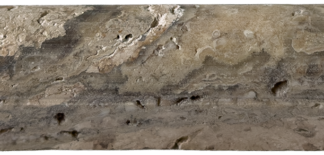 3/4x12 Antico Onyx Travertine Molding